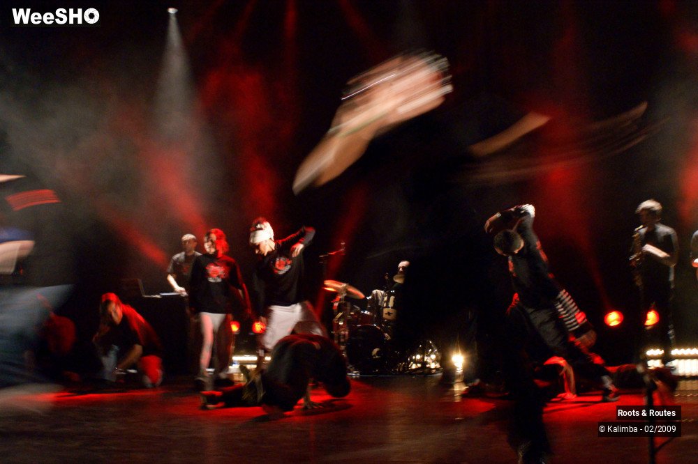 31/38 photos du spectacle Roots & Routes