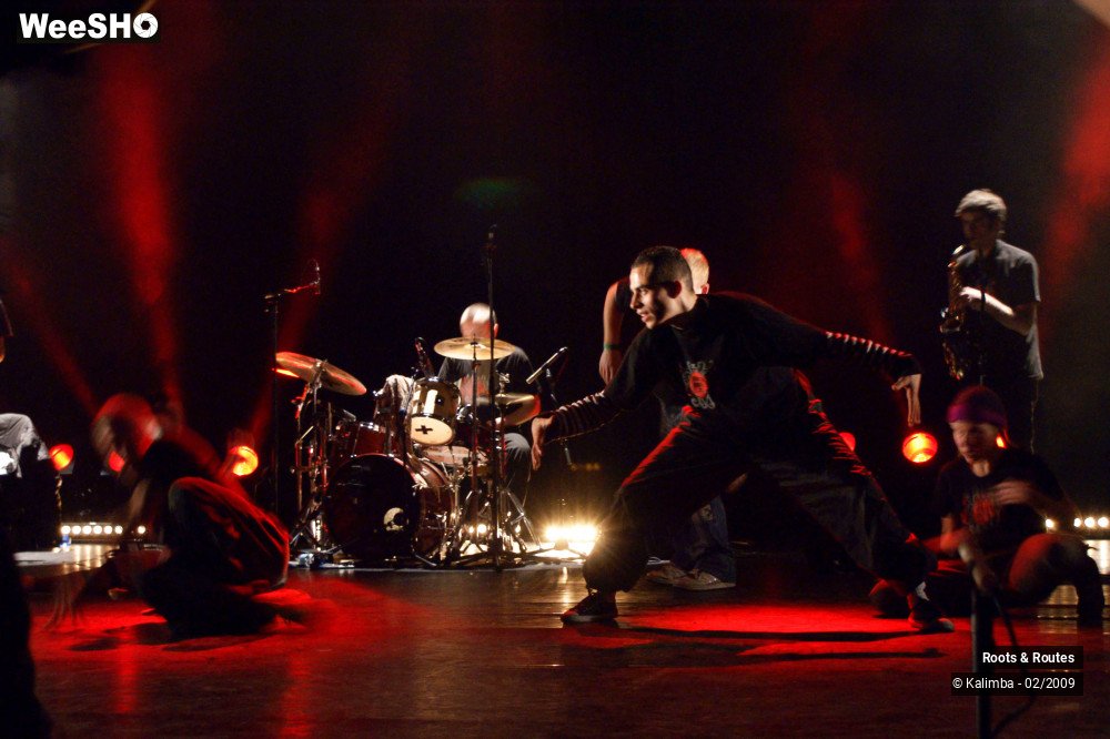 32/38 photos du spectacle Roots & Routes