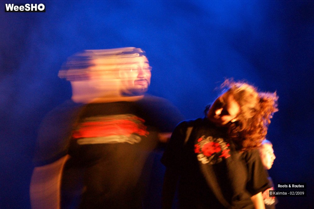 34/38 photos du spectacle Roots & Routes