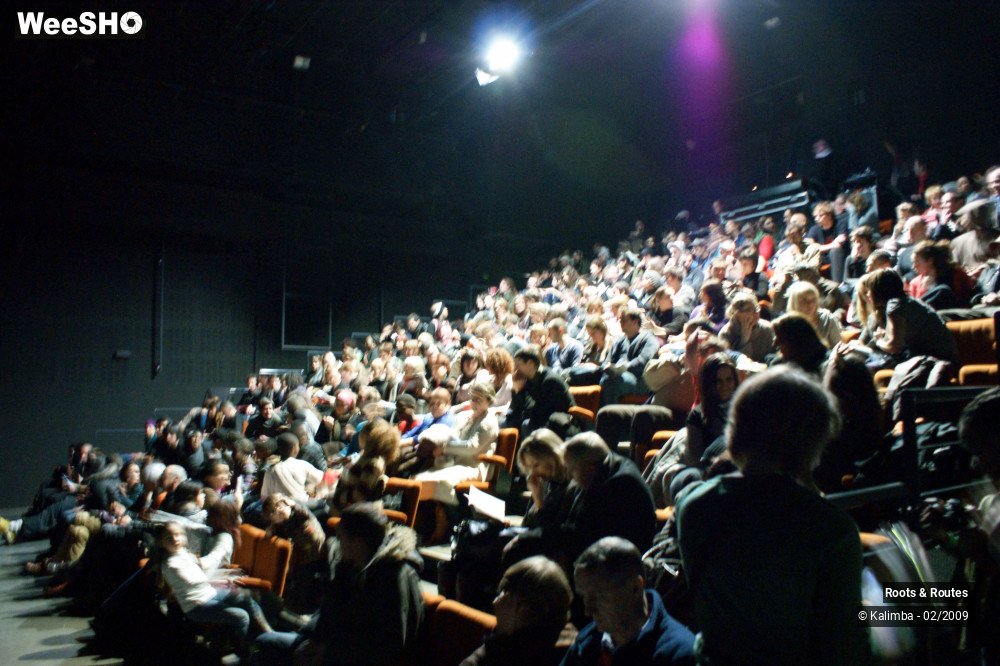 35/38 photos du spectacle Roots & Routes