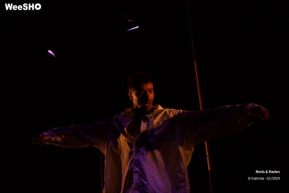 36/38 photos du spectacle Roots & Routes