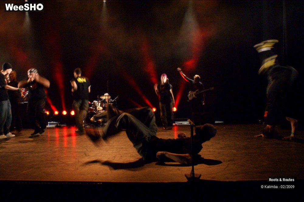 37/38 photos du spectacle Roots & Routes