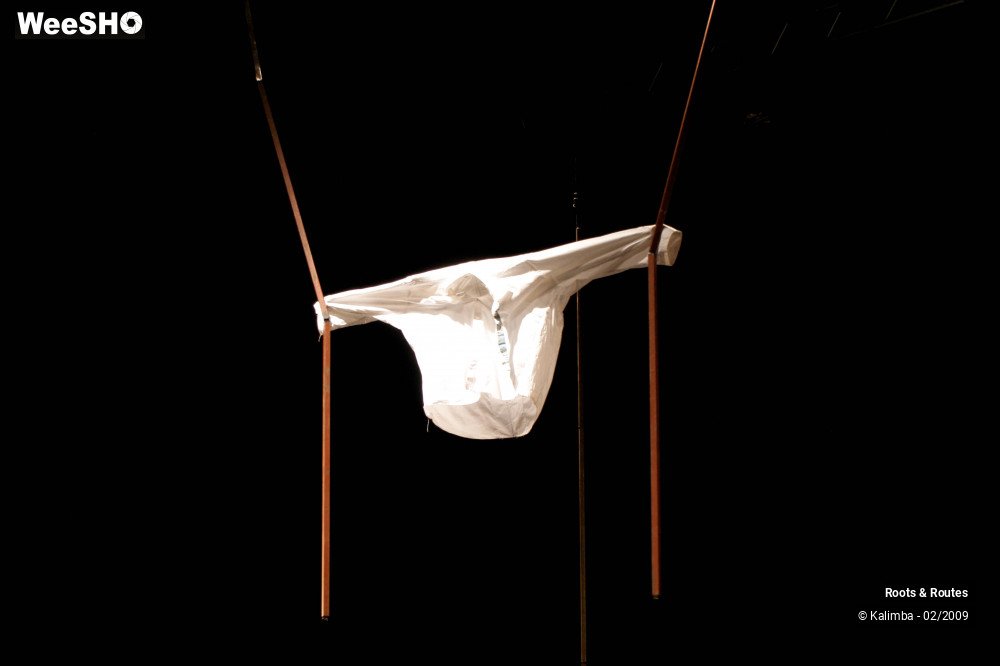 38/38 photos du spectacle Roots & Routes