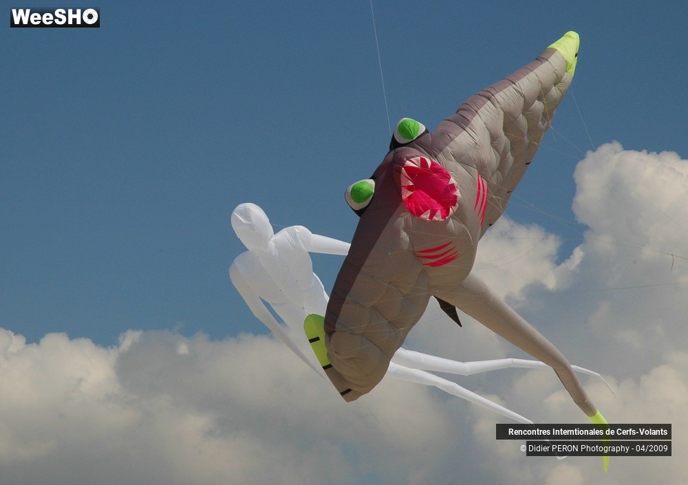 5/17 photos du spectacle Rencontres Internationales de Cerfs-Volants