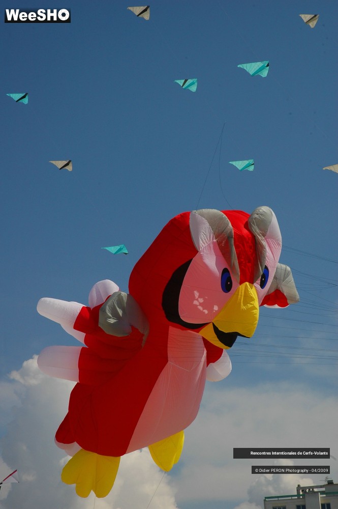 7/17 photos du spectacle Rencontres Internationales de Cerfs-Volants