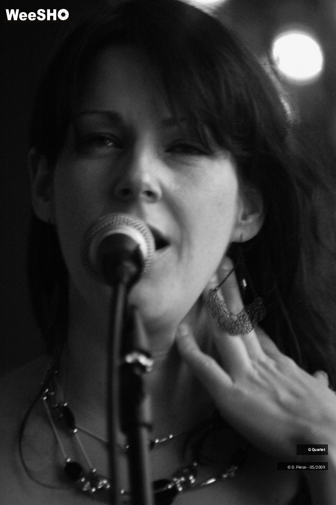 6/29 photos du spectacle G Quartet