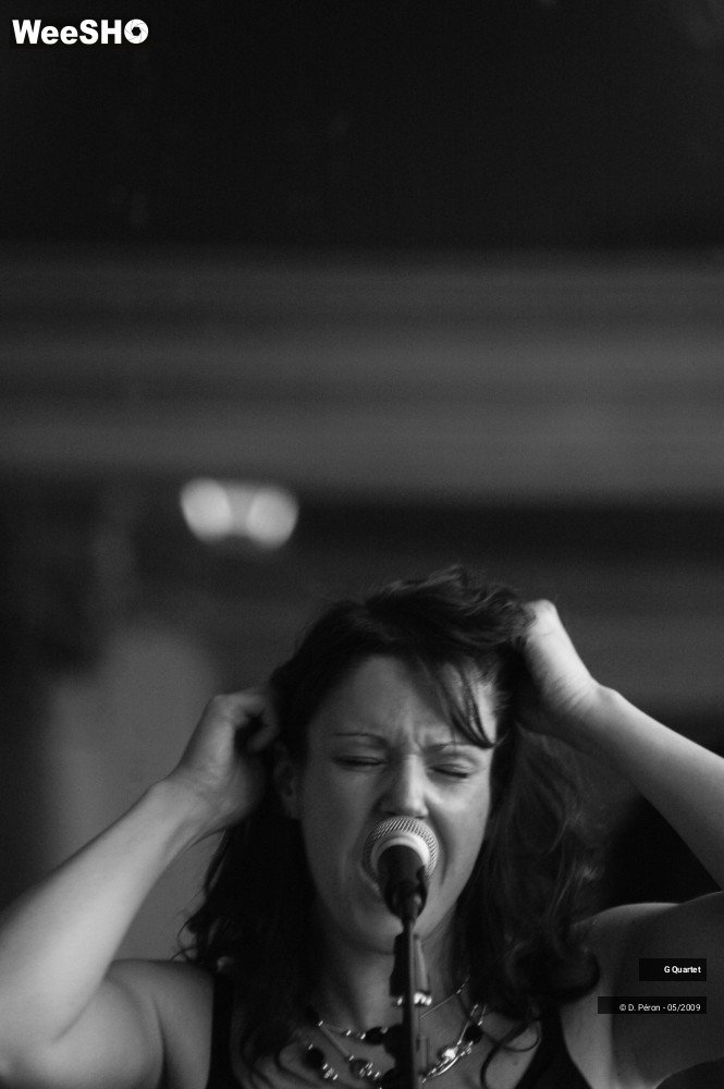 9/29 photos du spectacle G Quartet