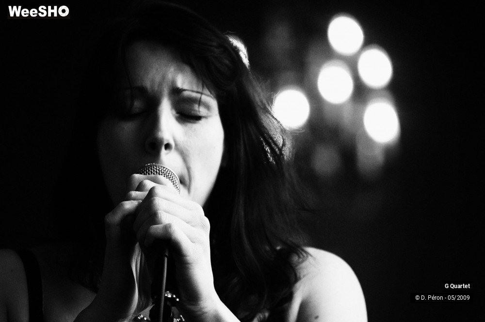 14/29 photos du spectacle G Quartet