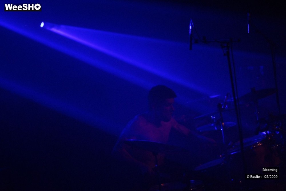 26/31 photos du spectacle Blooming