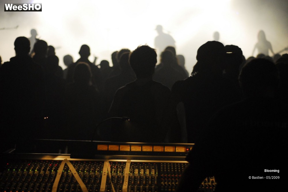 27/31 photos du spectacle Blooming