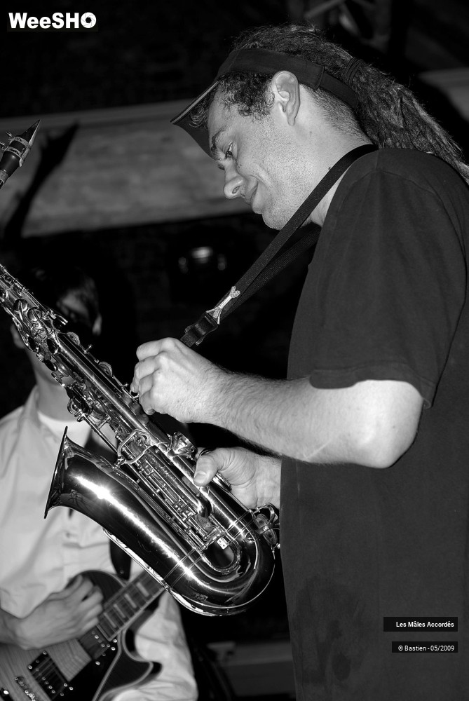 3/39 photos du spectacle Les Mâles Accordés