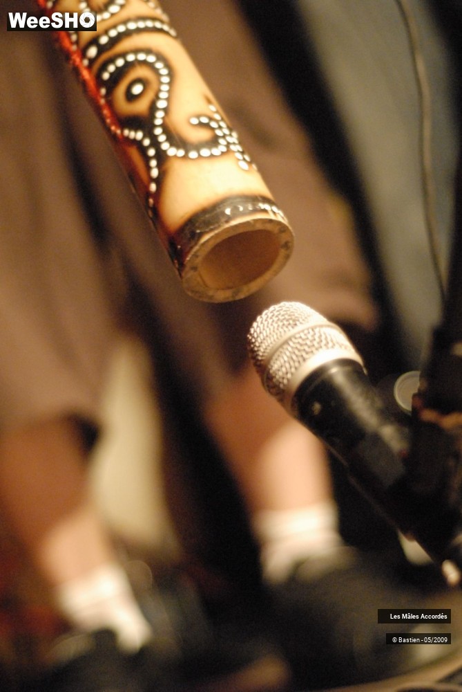 4/39 photos du spectacle Les Mâles Accordés