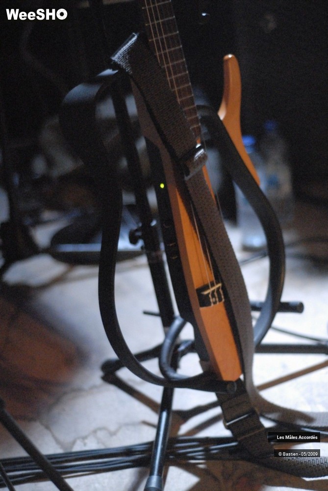 5/39 photos du spectacle Les Mâles Accordés