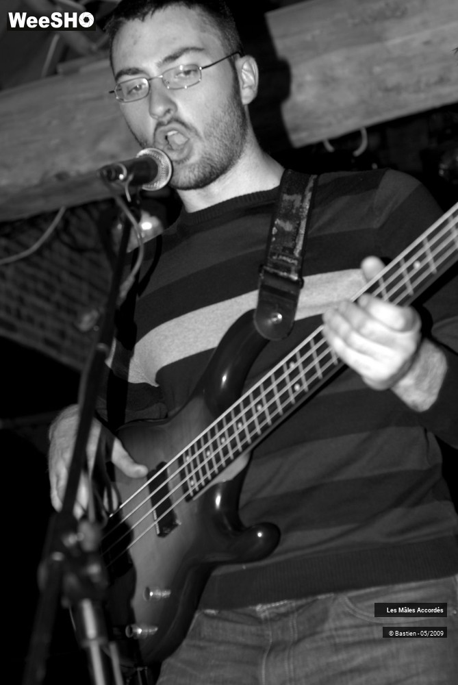 6/39 photos du spectacle Les Mâles Accordés