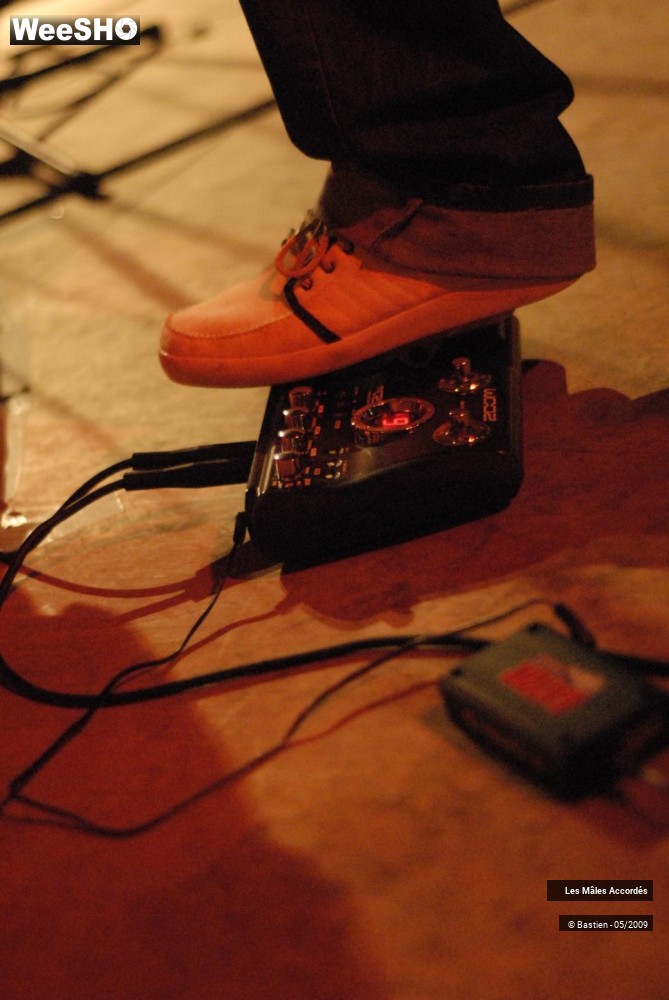 7/39 photos du spectacle Les Mâles Accordés