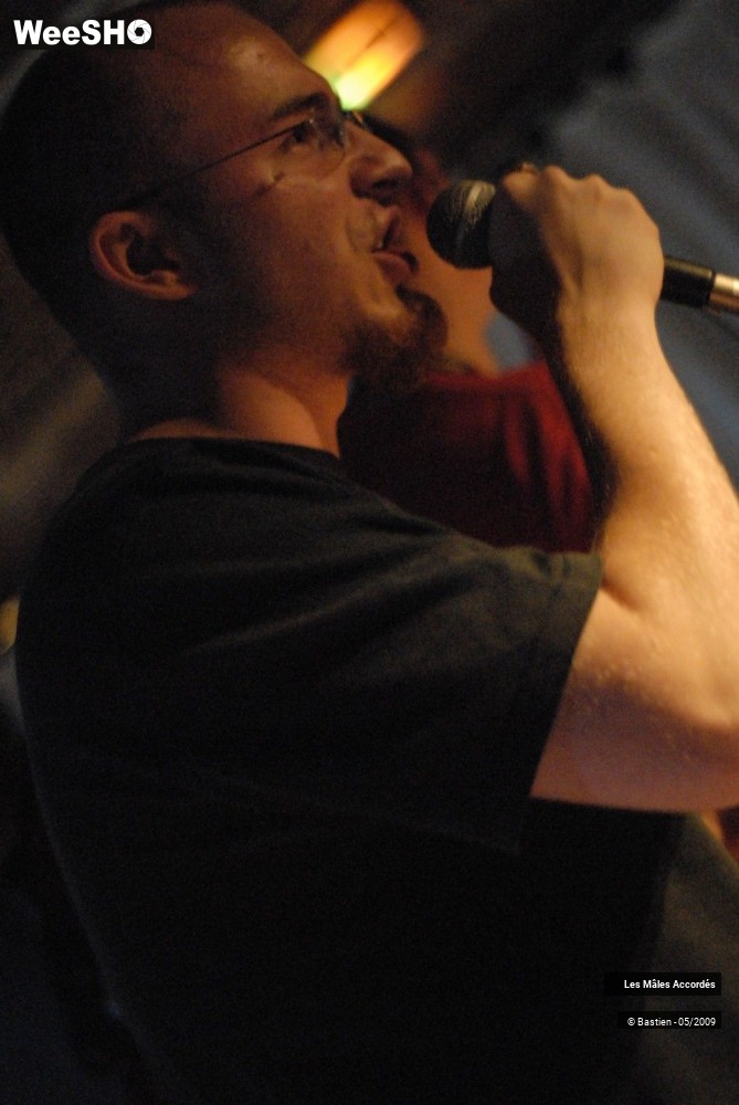 8/39 photos du spectacle Les Mâles Accordés