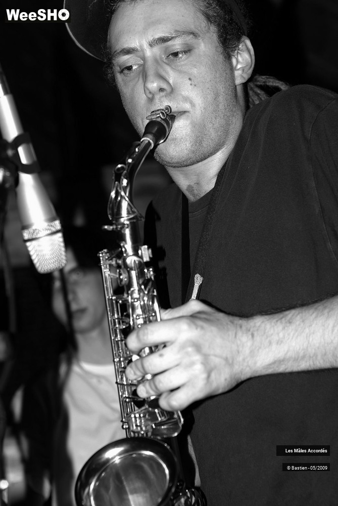 9/39 photos du spectacle Les Mâles Accordés