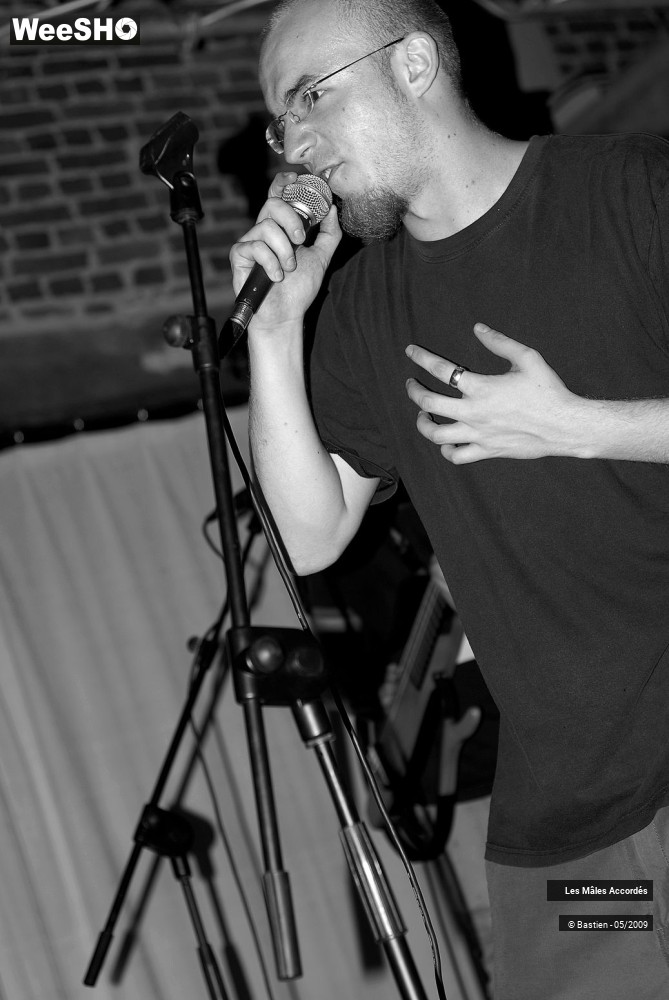 11/39 photos du spectacle Les Mâles Accordés