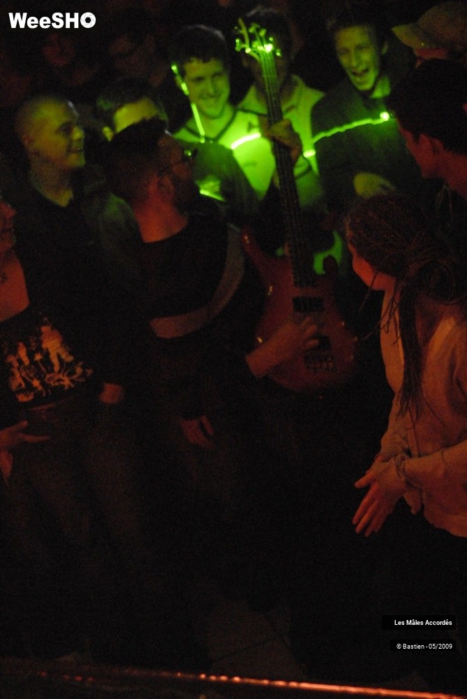 12/39 photos du spectacle Les Mâles Accordés