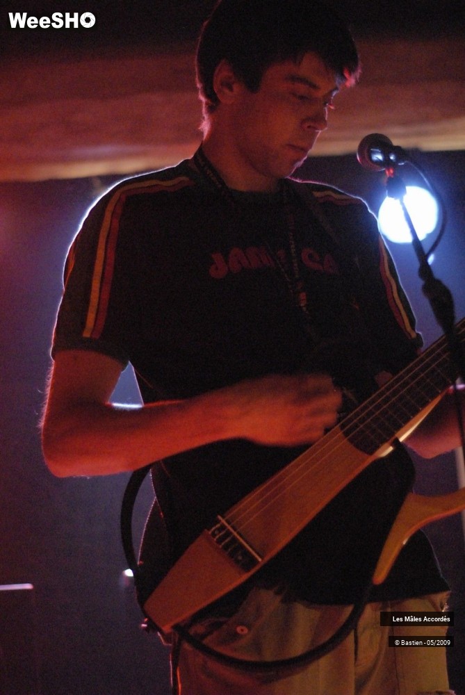 15/39 photos du spectacle Les Mâles Accordés