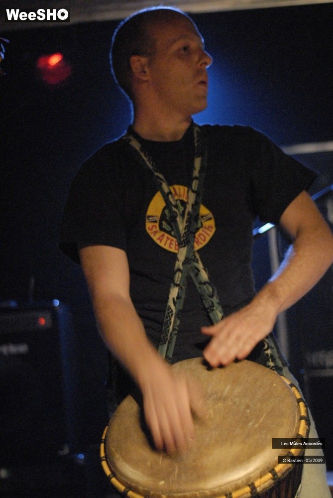 17/39 photos du spectacle Les Mâles Accordés