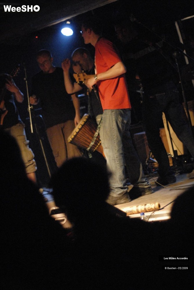 18/39 photos du spectacle Les Mâles Accordés