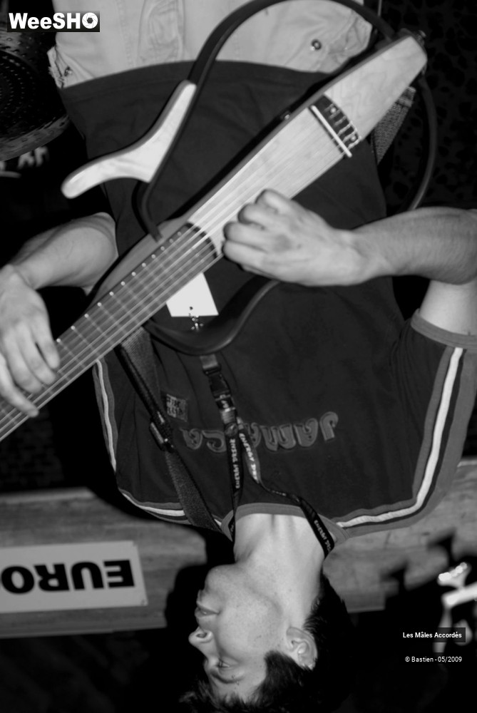 19/39 photos du spectacle Les Mâles Accordés