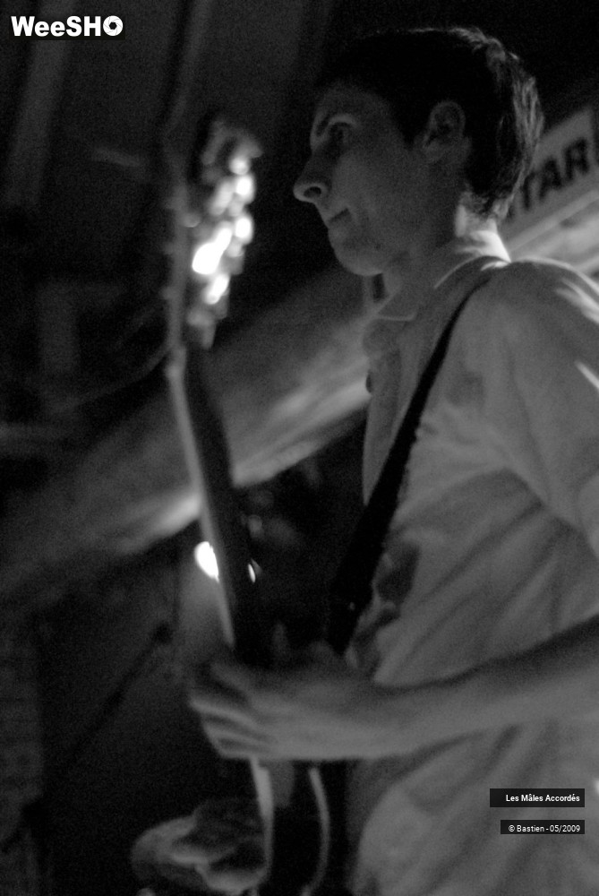 23/39 photos du spectacle Les Mâles Accordés