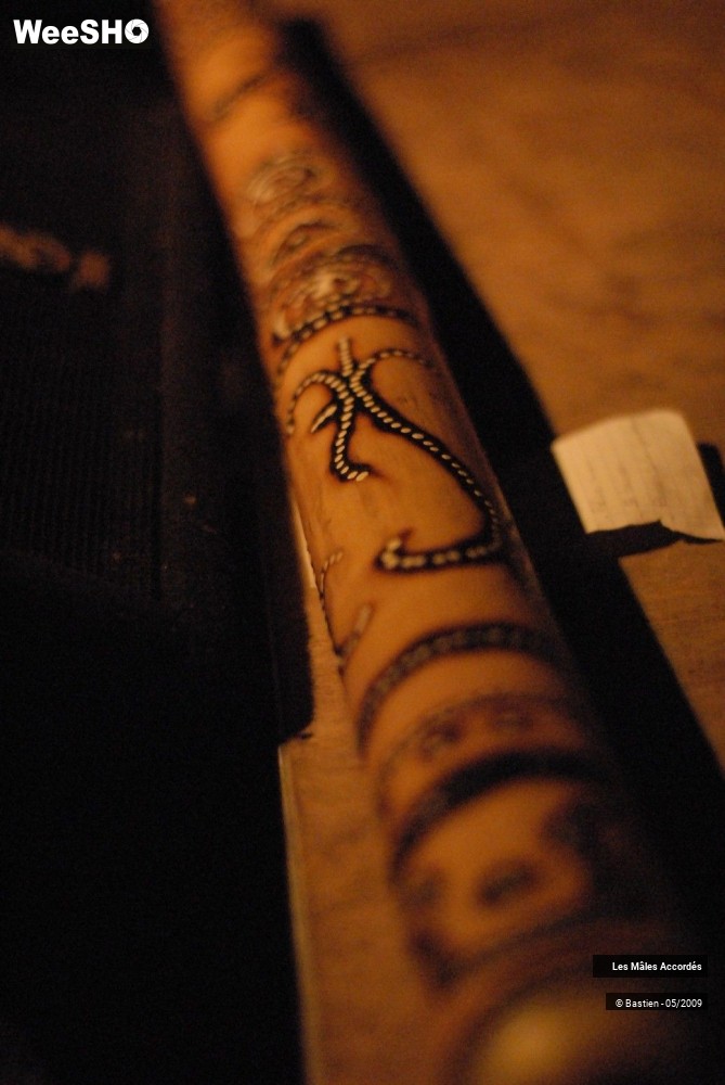 24/39 photos du spectacle Les Mâles Accordés