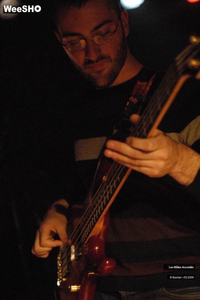 25/39 photos du spectacle Les Mâles Accordés