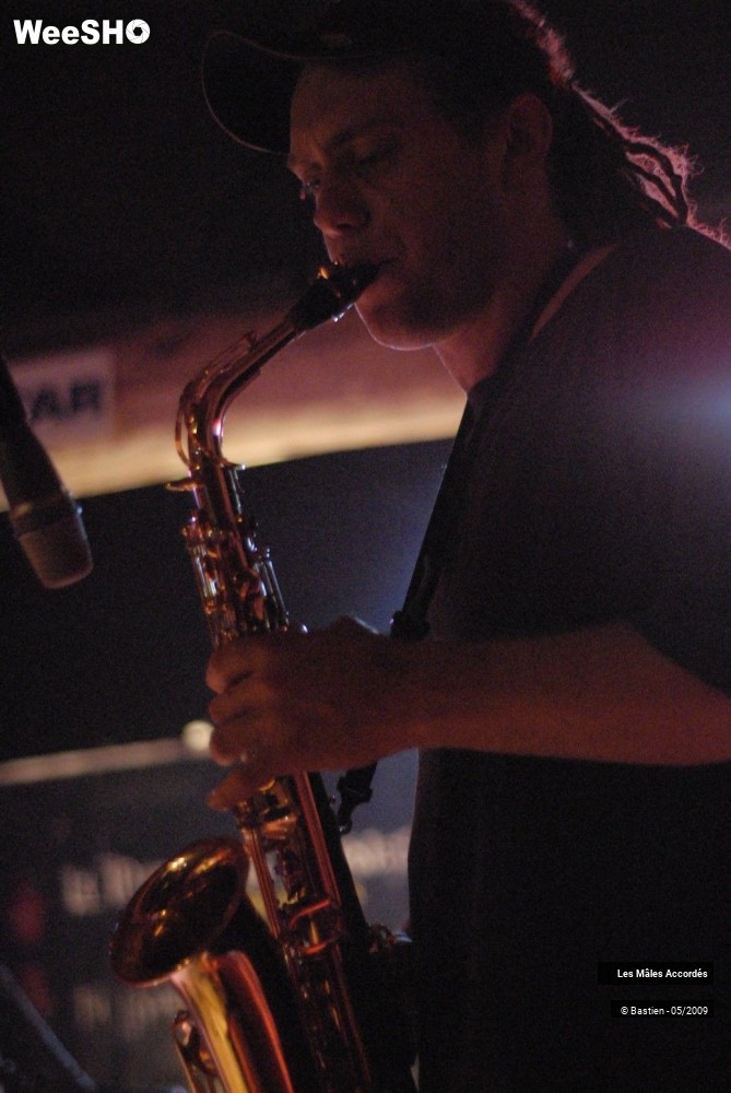 27/39 photos du spectacle Les Mâles Accordés