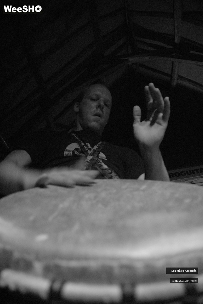 28/39 photos du spectacle Les Mâles Accordés