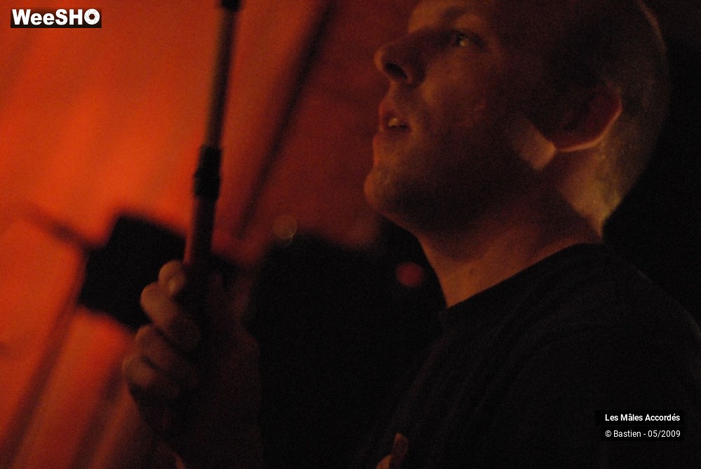 30/39 photos du spectacle Les Mâles Accordés