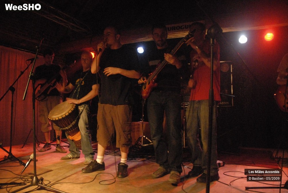 31/39 photos du spectacle Les Mâles Accordés