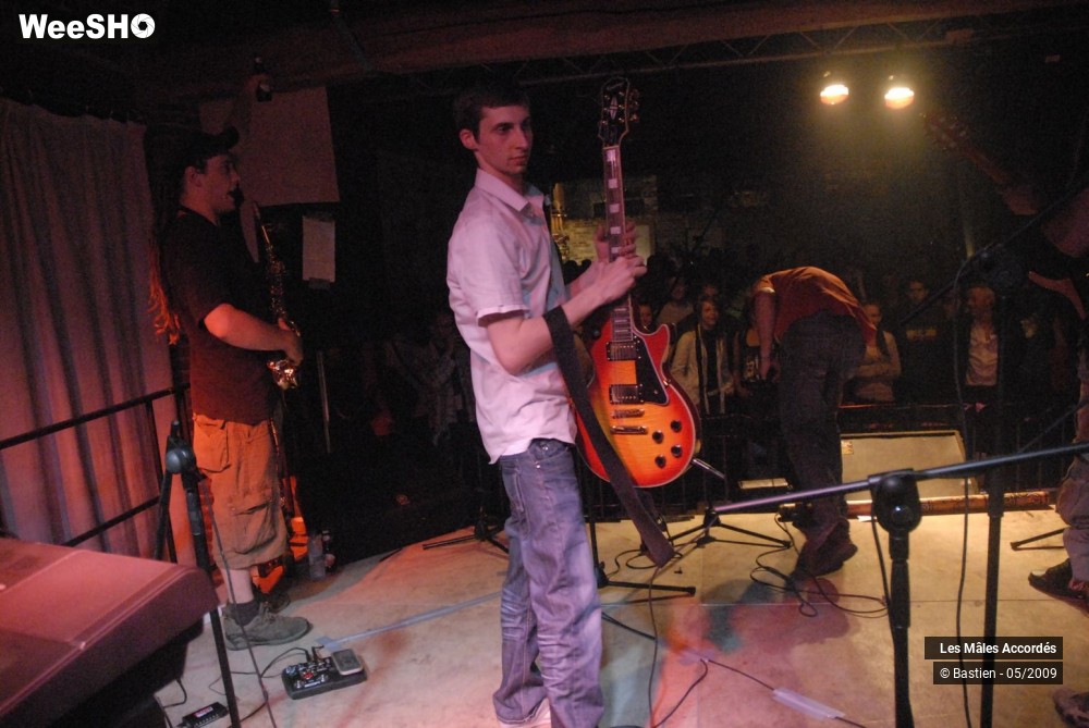 32/39 photos du spectacle Les Mâles Accordés