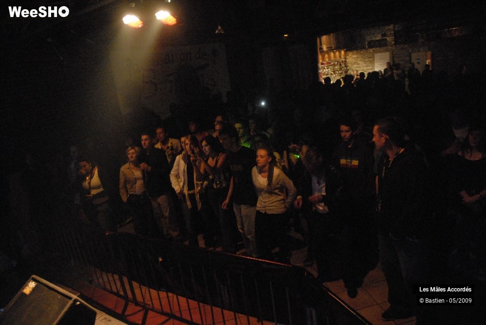 34/39 photos du spectacle Les Mâles Accordés