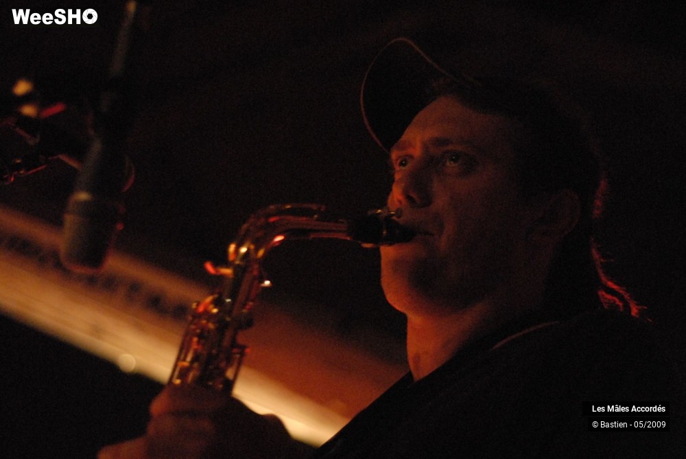 35/39 photos du spectacle Les Mâles Accordés