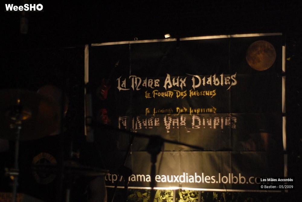 36/39 photos du spectacle Les Mâles Accordés