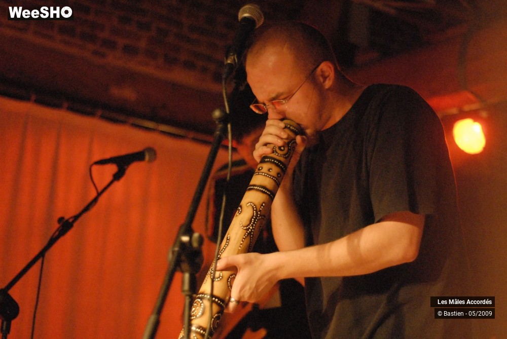 37/39 photos du spectacle Les Mâles Accordés