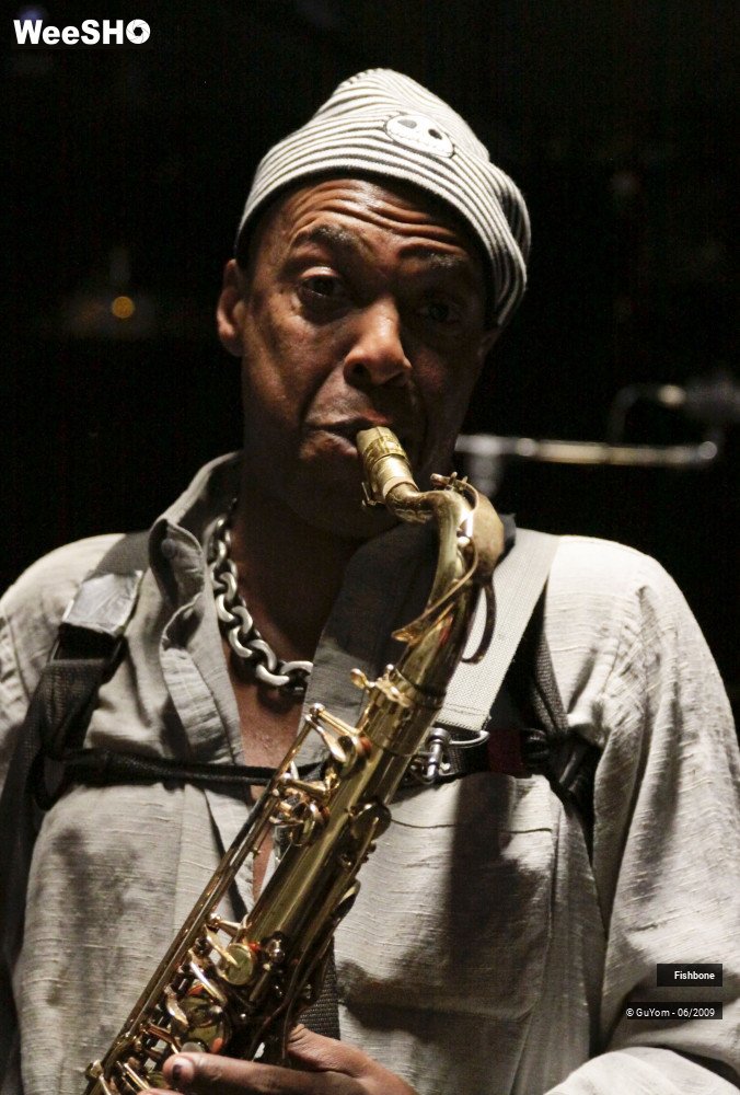 3/51 photos du spectacle Fishbone Balance