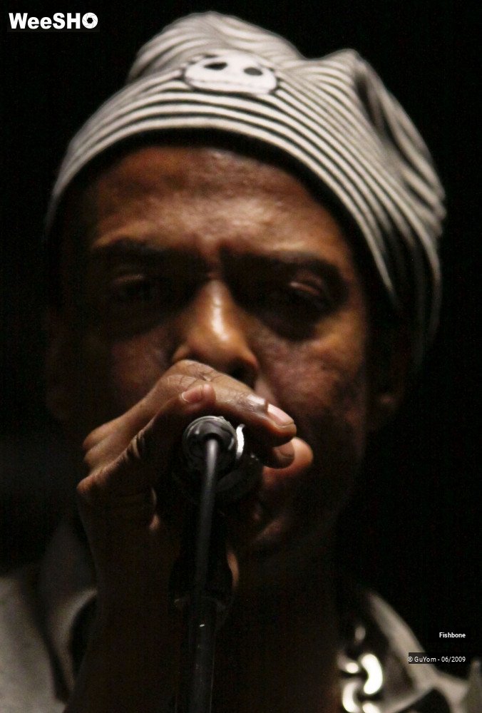 4/51 photos du spectacle Fishbone Balance