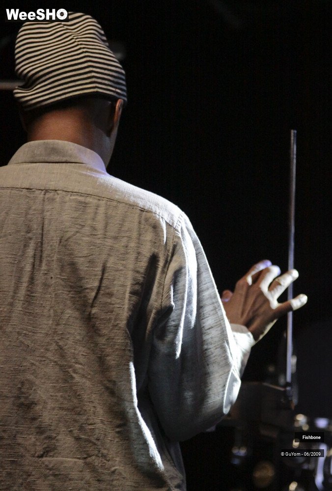 5/51 photos du spectacle Fishbone Balance