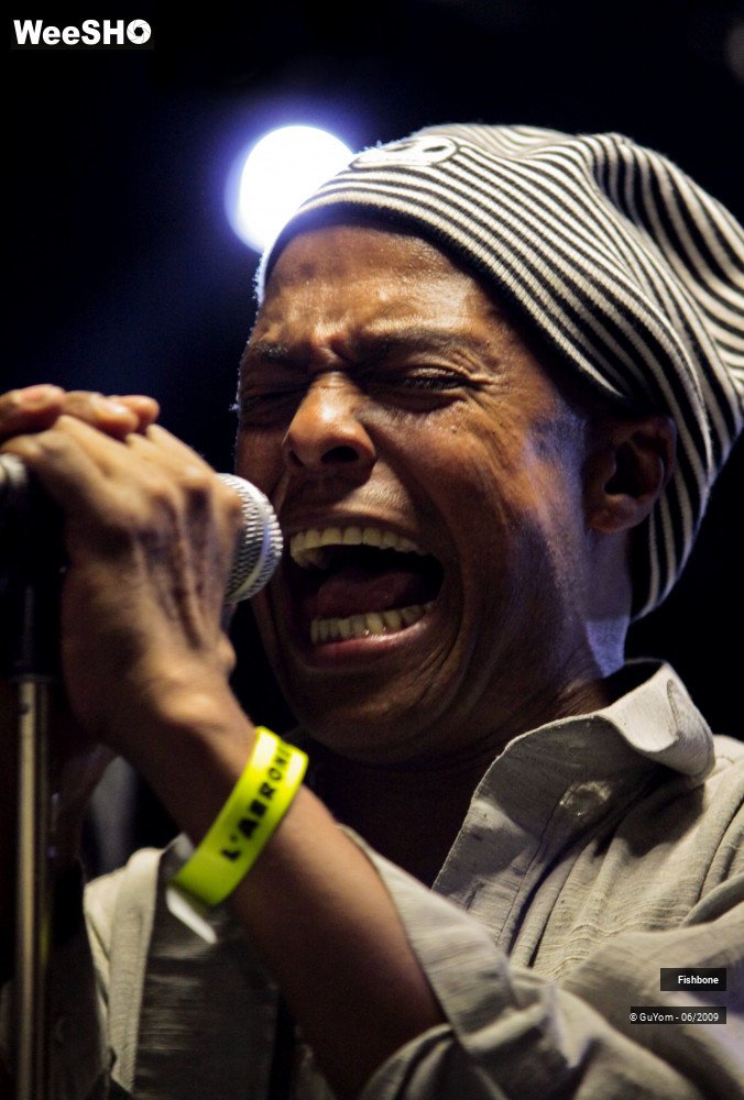 14/51 photos du spectacle Fishbone Balance