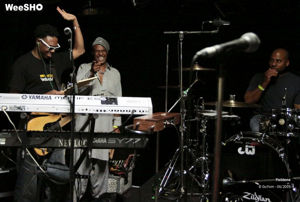 20/51 photos du spectacle Fishbone Balance