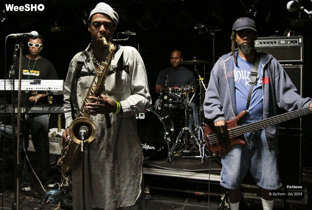 23/51 photos du spectacle Fishbone Balance