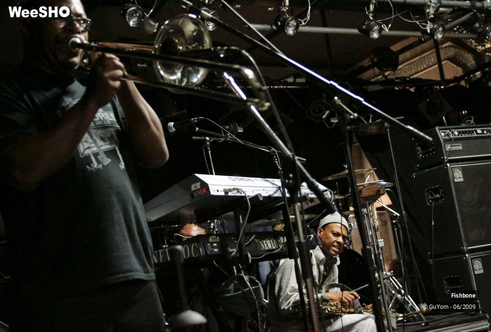 27/51 photos du spectacle Fishbone Balance