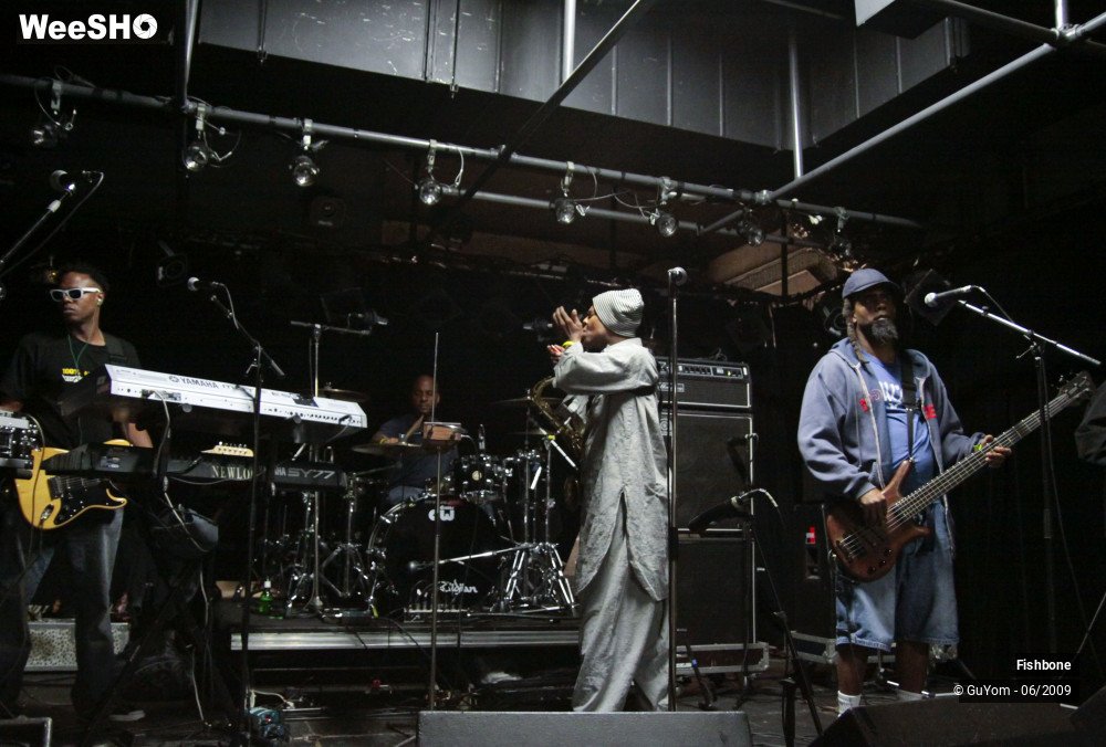 36/51 photos du spectacle Fishbone Balance