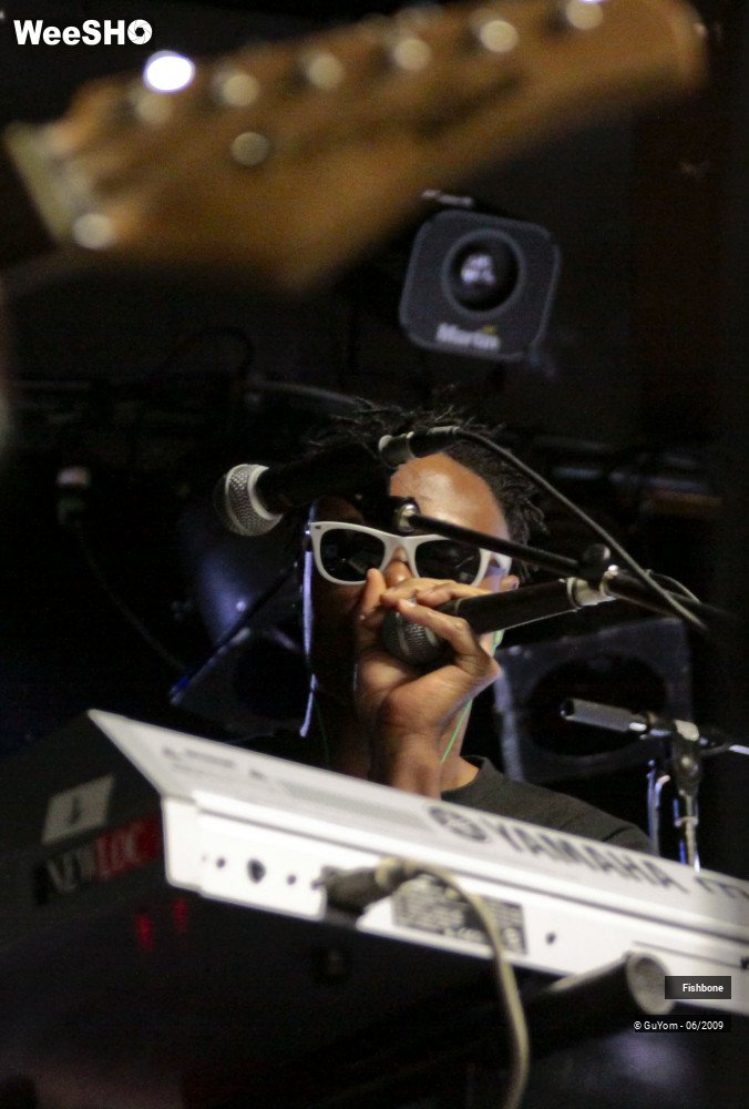 51/51 photos du spectacle Fishbone Balance