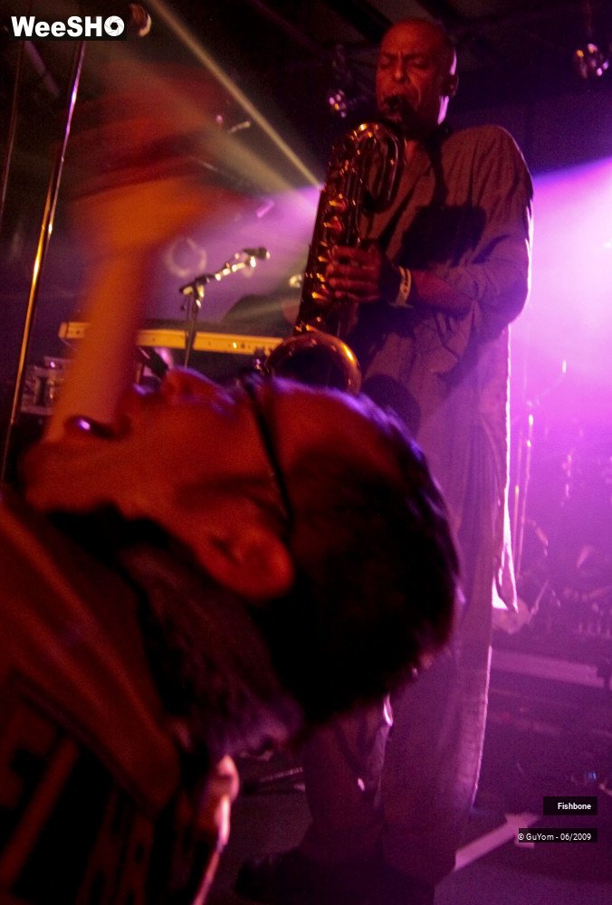 1/41 photos du spectacle Fishbone Ambiance