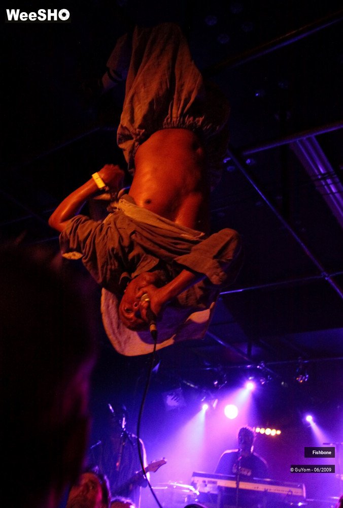 2/41 photos du spectacle Fishbone Ambiance